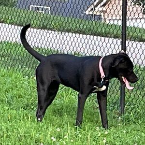 Meet your Posher, Terry